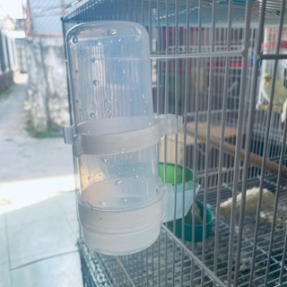 Cóng nước cho chim cảnh , nhựa dẻo loại tốt