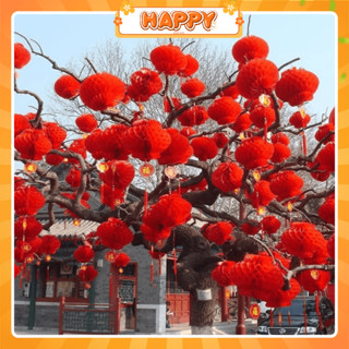   GIÁ SỈ  Combo 50-100 Lồng Đèn Giấy Tổ Ong Đỏ Trang Trí Tết 2026 - Decor Nhà Cửa Quán Cafe Background Sân Khấu 