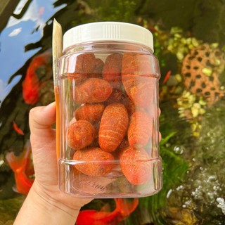 Nghệ đỏ gà đá (kèm cọ) Dạng củ cái to, sạch vỏ, tại xưởng