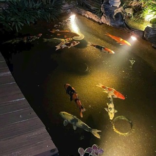Đèn LED âm nước 12W chân đế chiếu sáng đài phun nước tiểu cảnh hồ cá