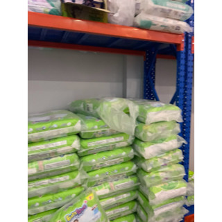  Combo nhiều gói tả quần Caryn người già đủ size 