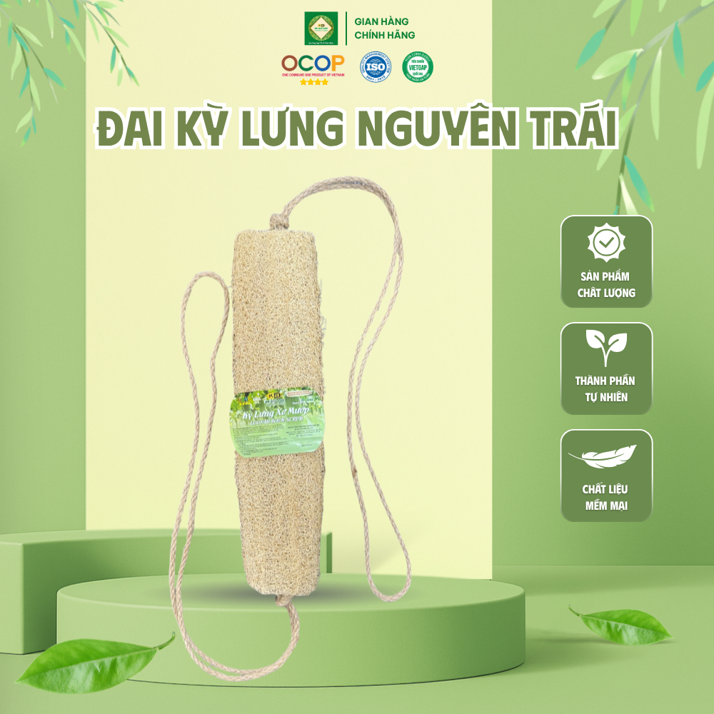 Đai Kỳ Lưng Xơ Mướp Nguyên Trái KB Ecolife – Làm Sạch Sâu, Massage Thư Giãn & Dưỡng Da Tự Nhiên (7x80cm)