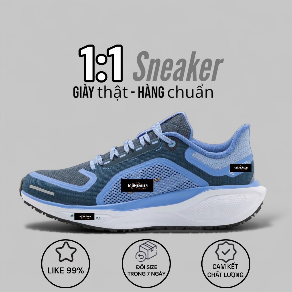 Giày chạy bộ PEGASUS 41 GTX – Êm, chống nước, chạy tốt mọi thời tiết