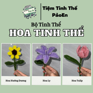    HOA TINH THỂ   Bộ dụng cụ nuôi hoa tinh thể làm quà tặng   Có giấy hướng dẫn   