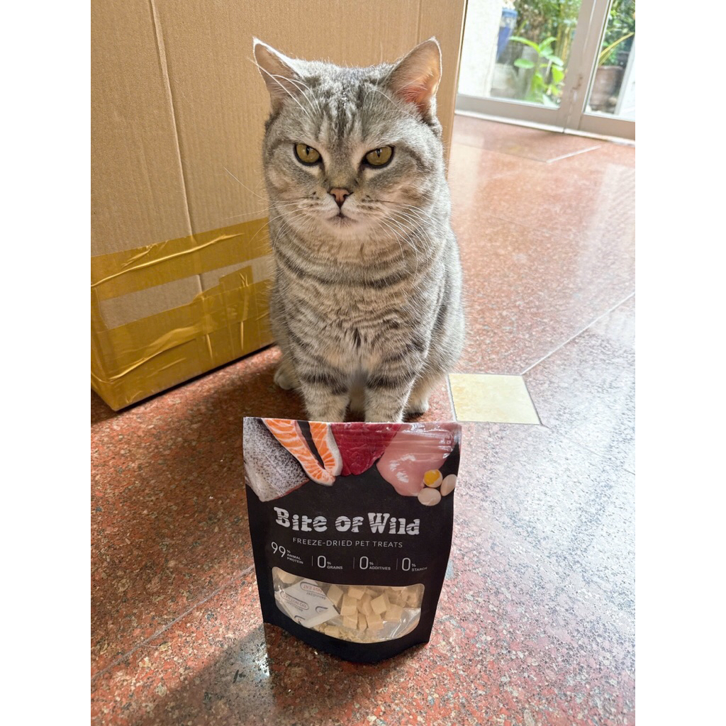 [Giá sỉ tốt nhất] Thịt Gà sấy / Thịt Vịt sấy / Gan gà sấy Bite Of Wild cung cấp đạm chất lượng cao c