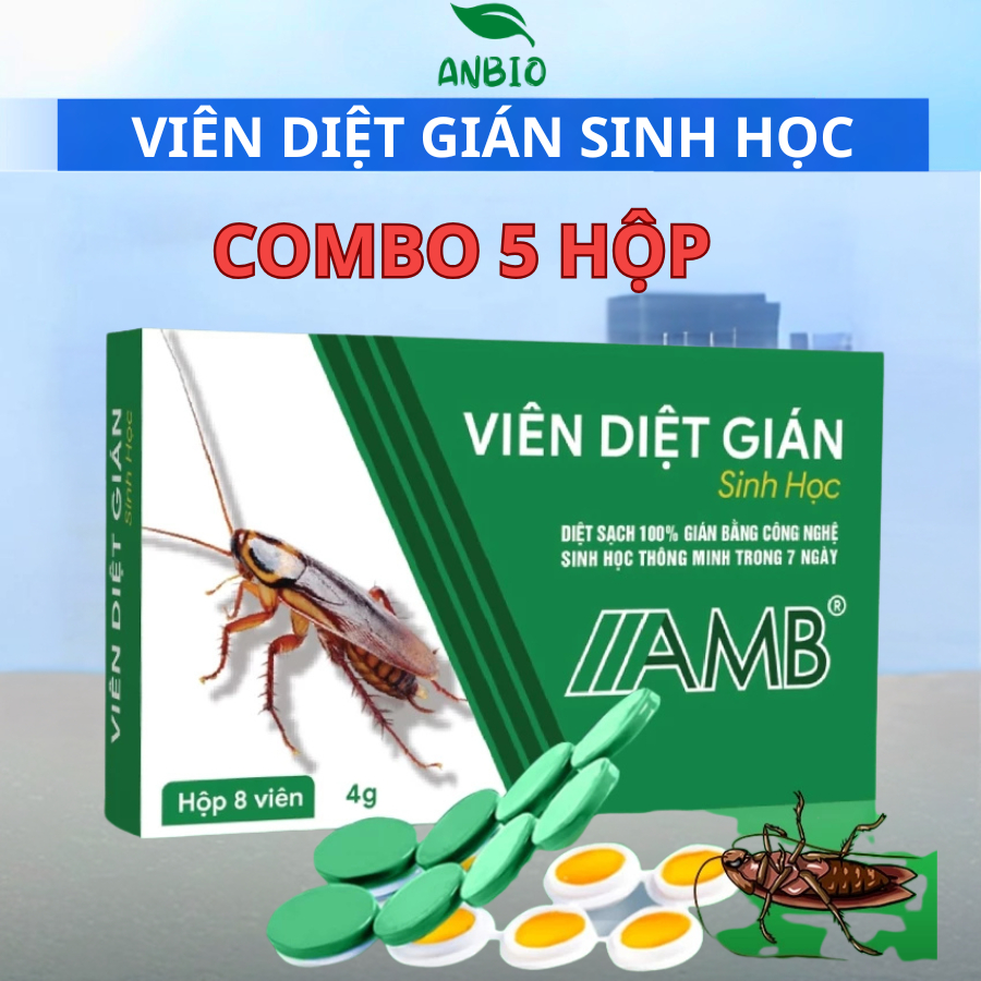 Thuốc diệt gián sinh học AMB, Viện Hàn lâm khoa học Việt Nam, diệt tận gốc tất cả các loại gián hiệu quả