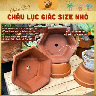  Chậu đất nung Bonsai Sen đá mini lục giác 