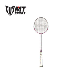 Vợt cầu lông Prokennex Power Pro 704 *Tặng lưới + Quấn cán*