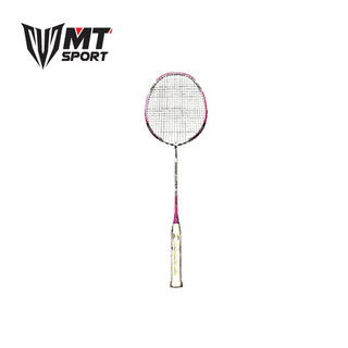 Vợt cầu lông Prokennex Power Pro 704 *Tặng lưới + Quấn cán*