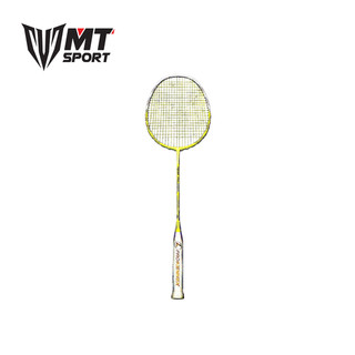 Vợt cầu lông Prokennex Power Pro 704 *Tặng lưới + Quấn cán*