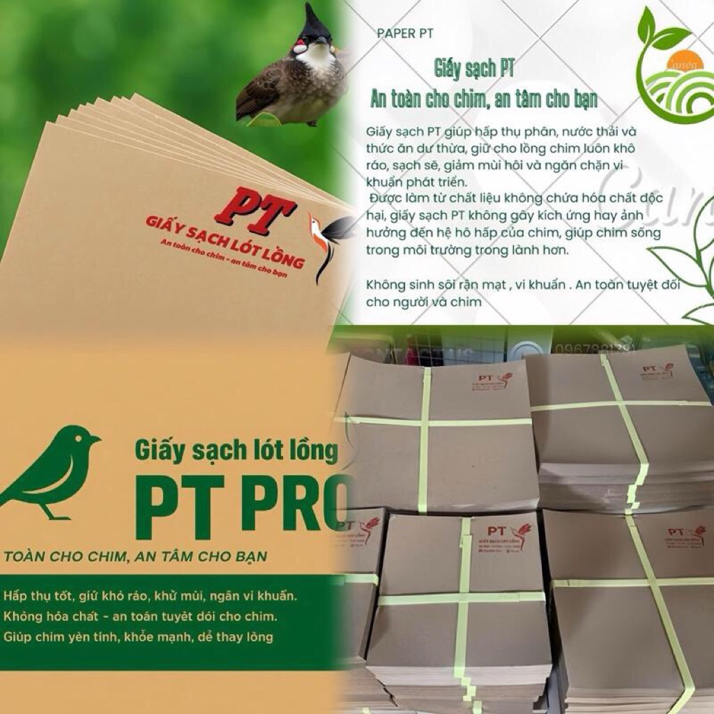 GIẤY SẠCH PT 3 LỚP THÙNG 5KG | VIP THẤM HÚT SIÊU TỐT | NHẬP KHẨU CHÂU ÂU ( an toàn cho chim – An tâm