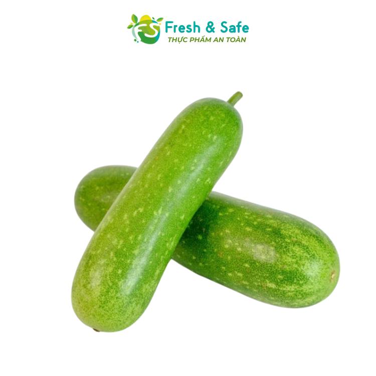 [Chỉ Giao HCM] Bí Đao - 500g