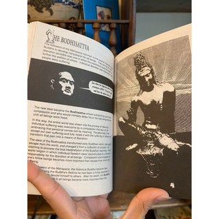 Sách - Introducing Buddha: A Graphic Guide by Jane Hope | Buddhism Nonfiction / Ngoại văn Nhập khẩu