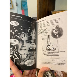 Sách - Introducing Mind and Brain: A Graphic Guide by Angus Gellatly | Nonfiction / Science