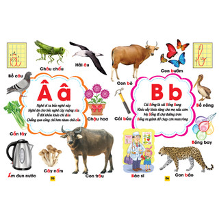 Sách - Combo 6 cuốn (bìa cứng) Từ điển bằng tranh song ngữ Anh Việt (kèm quà tặng)
