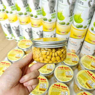  Phô mai tăng nọng cân cho chó mèo siêu thơm ngon 