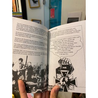 Sách - Introducing The Holocaust: A Graphic Guide by Haim Bresheeth | History Nonfiction