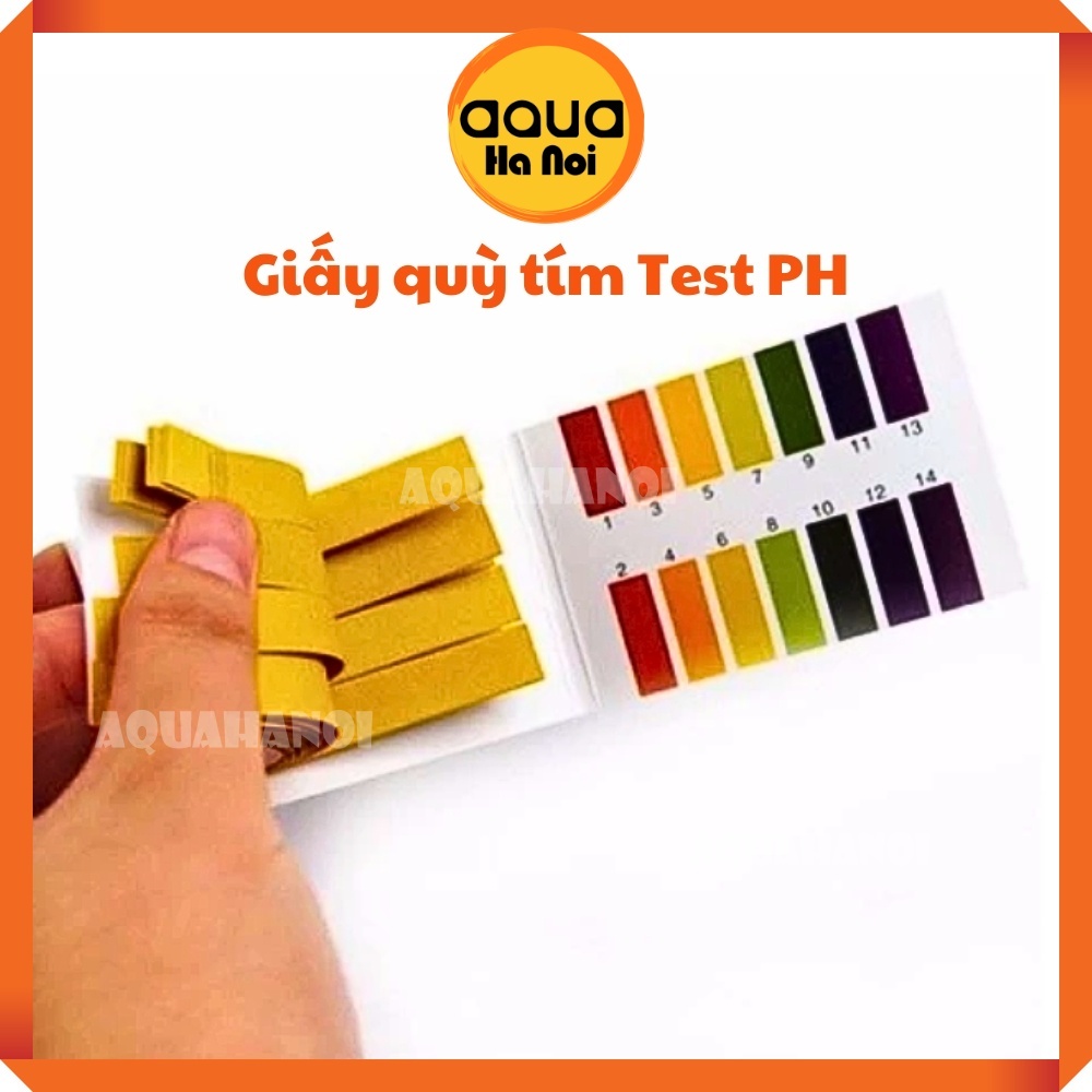 Giấy quỳ test PH - Giấy quỳ tím thử độ Ph