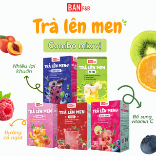  Trà Lên Men 8 Vị Hương Hoa Quả Lên Men Detox Cơ Thể Giàu Lợi Khuẩn Đẹp Dáng Đẹp Da Không Calo Bản F&B 