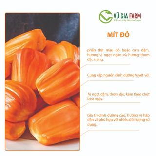Mít Đỏ/ Mít Thái Tách Múi 200g