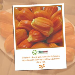 Mít Đỏ/ Mít Thái Tách Múi 200g
