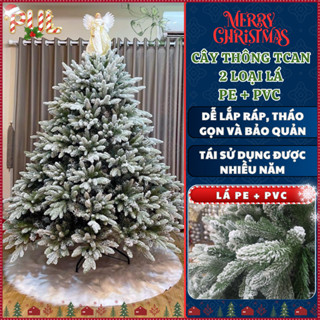   XMAS  Cây Thông Noel PHỦ TUYẾT 2M 2M4 3M 2 LOẠI LÁ Chất Liệu PE Xòe Cành Tự Động Decor Giáng Sinh 