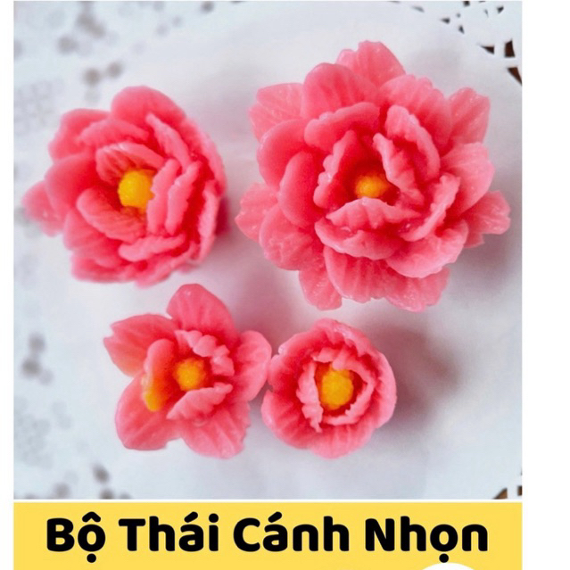 Khuôn silicon Bộ Thái Cánh Nhọn B08