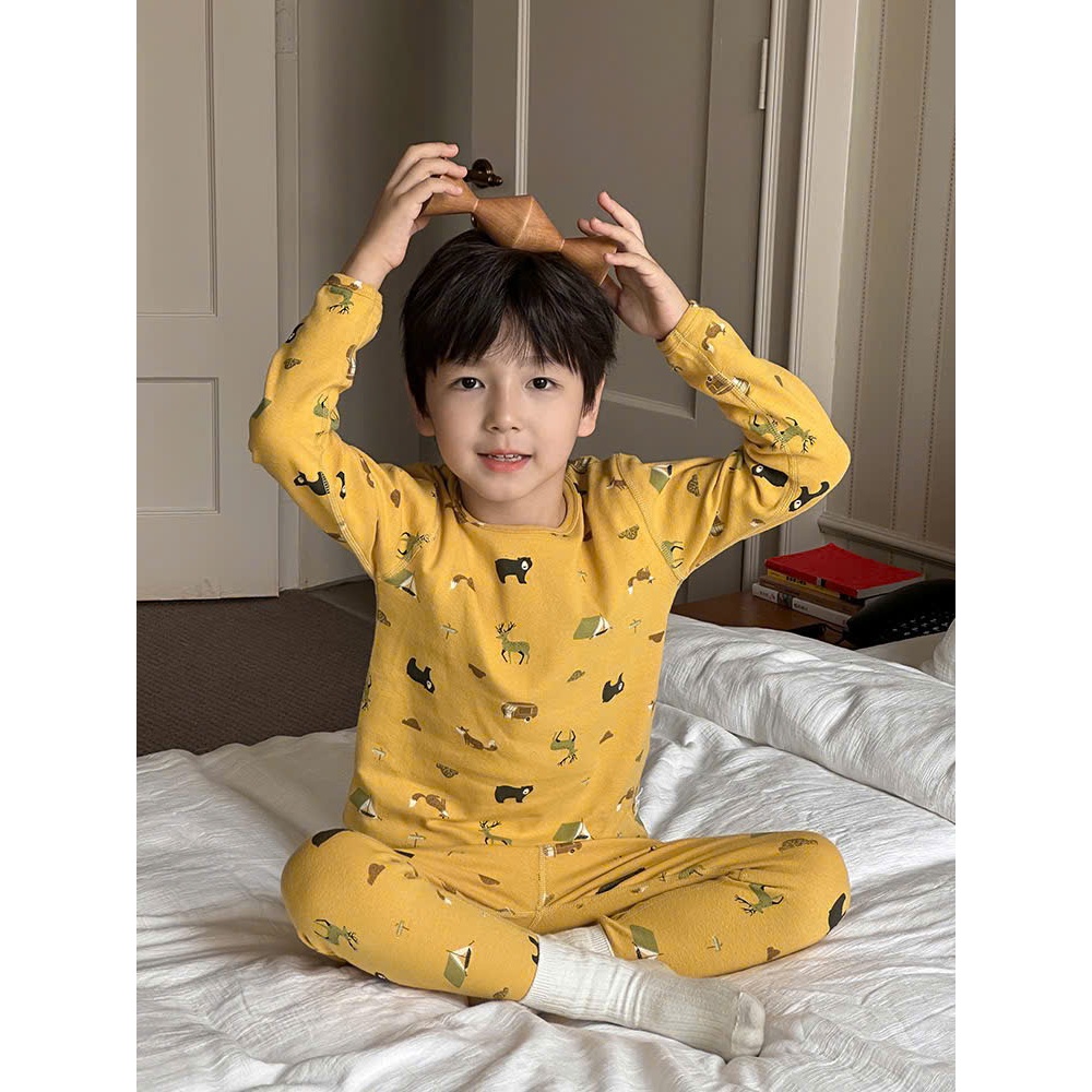 Bộ quần áo dài tay thu đông cho bé HK KIDS, bộ thu đông chính hãng AMBB 2025 chất cotton mềm mịn siz