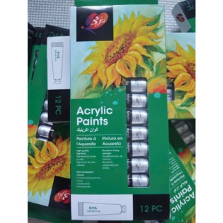BỘ MÀU ACRYLIC 12 MÀU tuýp 6ml (vỏ hộp màu xanh lá)