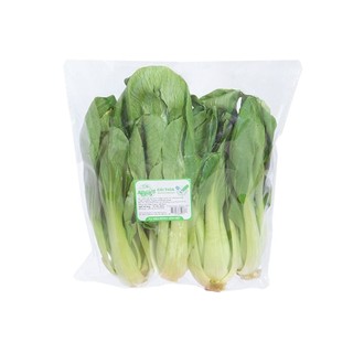 Cải chíp 500gr