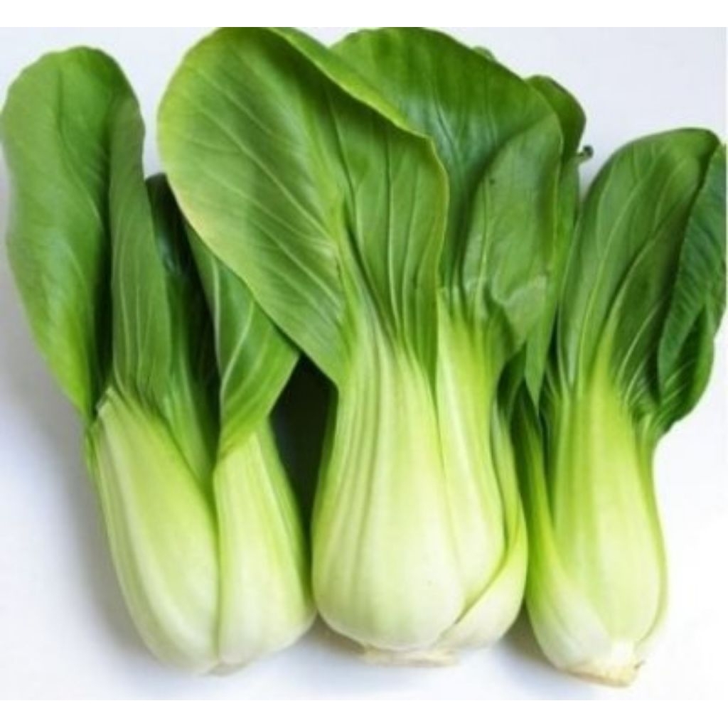 Cải chíp 500gr