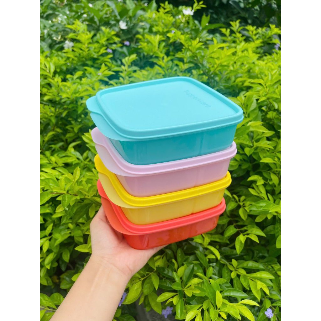KHAY CƠM TUPPEWARE NHỎ GỌN