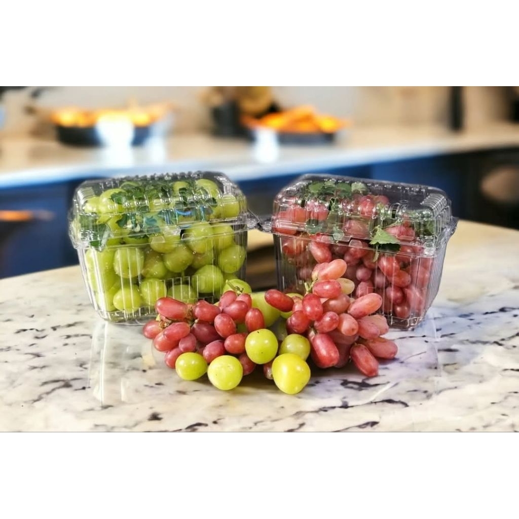 100 hộp nhựa PET đụng trái cây P500D / P1000B [ 500gr/ 1kg ]
