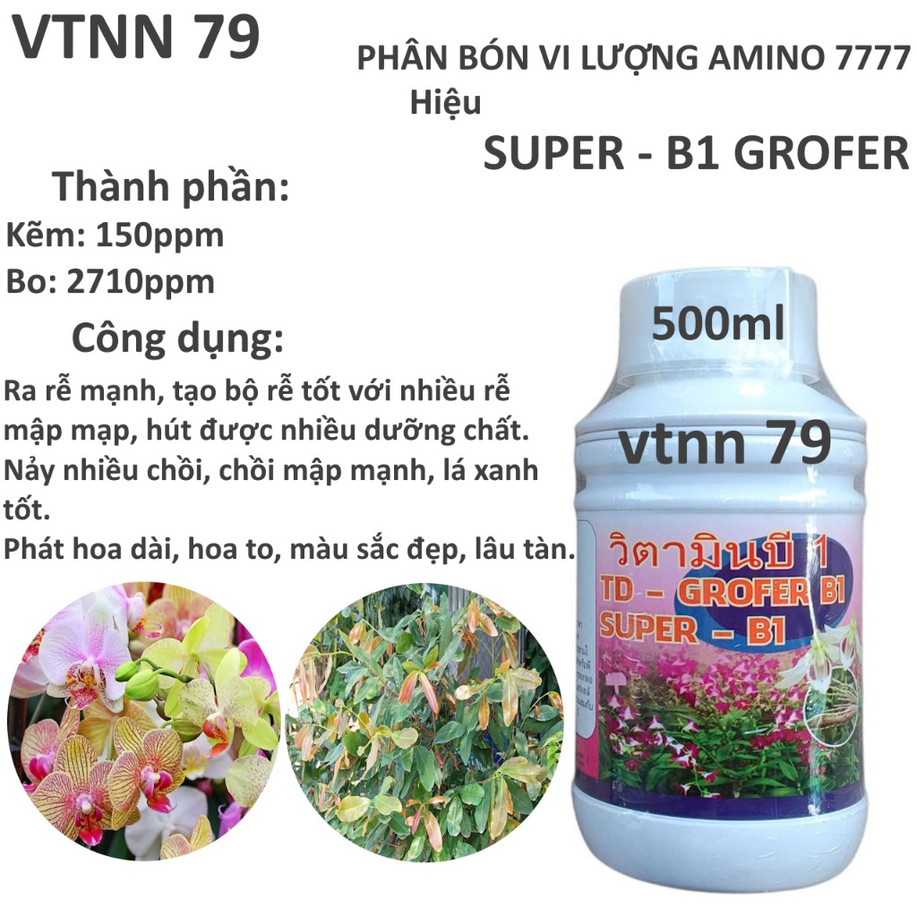 B1 GROFER CHAI 500ML, RỄ MẬP CHỒI KHỎE