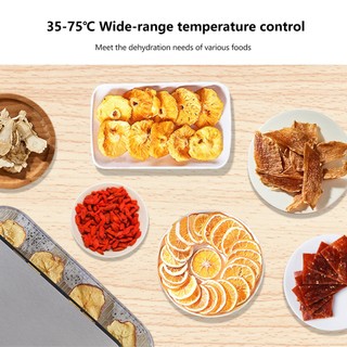 [BioloMix Brand] Máy sấy thực phẩm BioloMix BFD-1300 BPA FREE