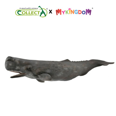 Đồ Chơi Mô Hình Động Vật Cá Nhà Táng COLLECTA 88835