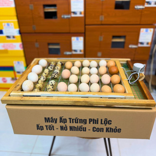Khay Đảo 50 Trứng Tự Động, Khung Gỗ Chắc Chắn Đảo Lăn Đều Giúp Trứng Dễ Nở, Tỷ Lệ Cao Trên 95%.