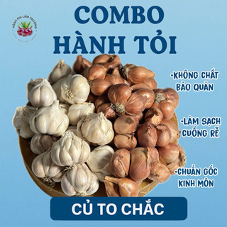 Combo hành tỏi ta Kinh Môn, hành củ tím, tỏi ta phơi khô, hành tỏi đặc sản Hải Dương