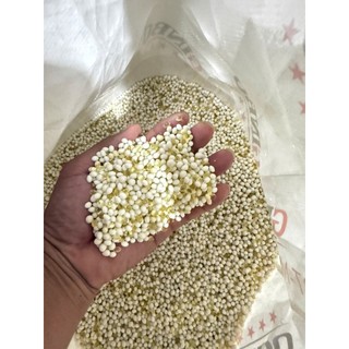 keo hạt nhựa eva hiệu ginbo