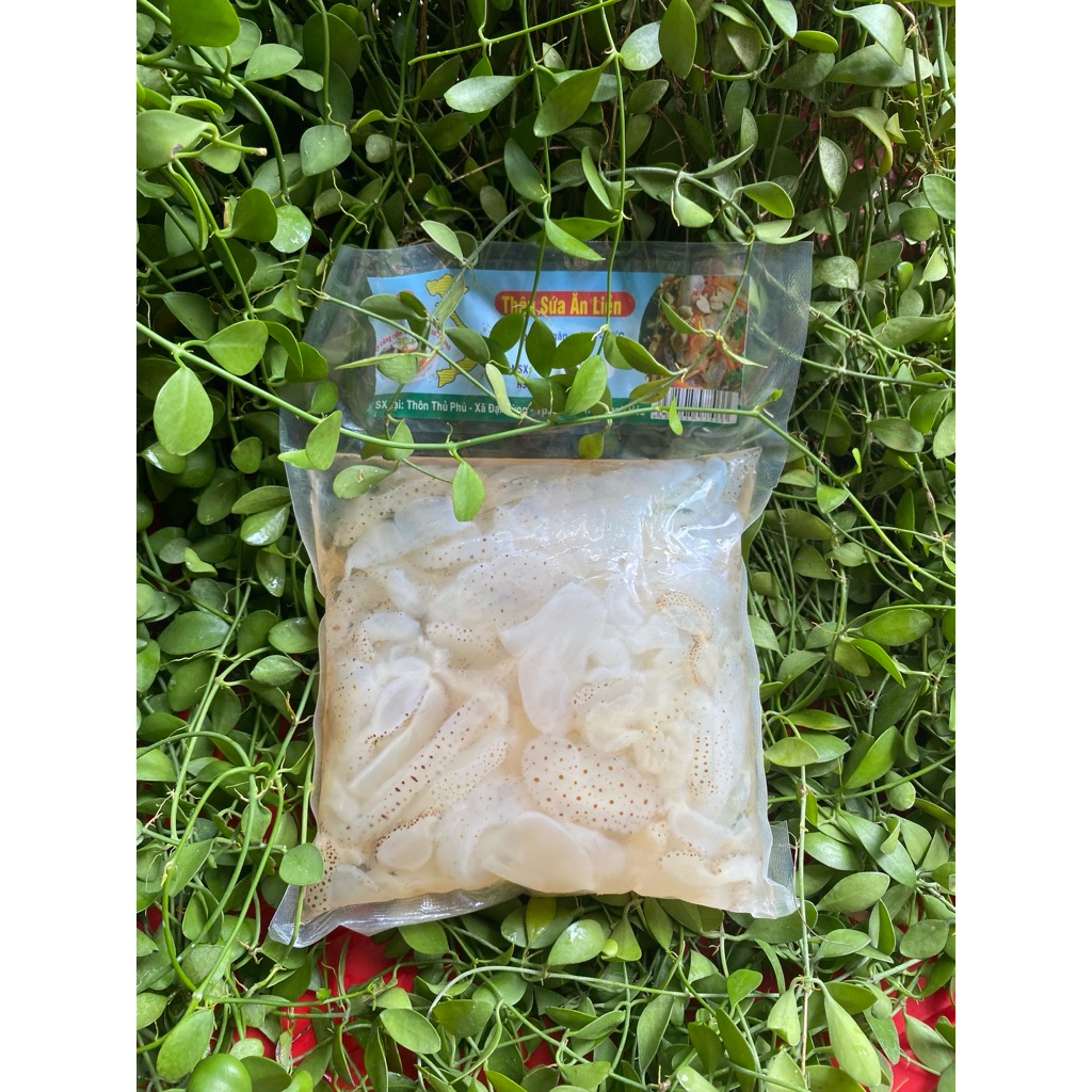 Thân SỨA Nhạt 500gr ( k tính nước)