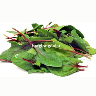 5 Gram  - Hạt Giống Cải Bó Xôi Đà Lạt