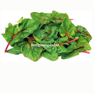 5 Gram  - Hạt Giống Cải Bó Xôi Đà Lạt