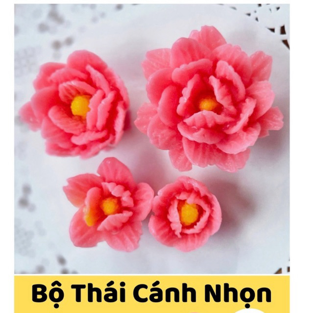 Khuôn silicon Bộ Thái Cánh Nhọn B08