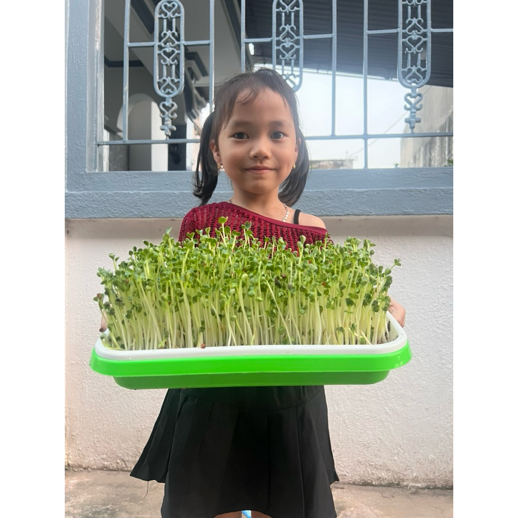 🔥 HOAN HỈ ỦNG HỘ🙏🙏Khay ủ giá trồng rau mầm thuỷ canh đa năng các loại