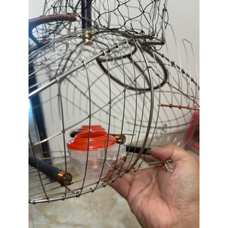Cài cóng lồng bẫy chào mào ( choè than)