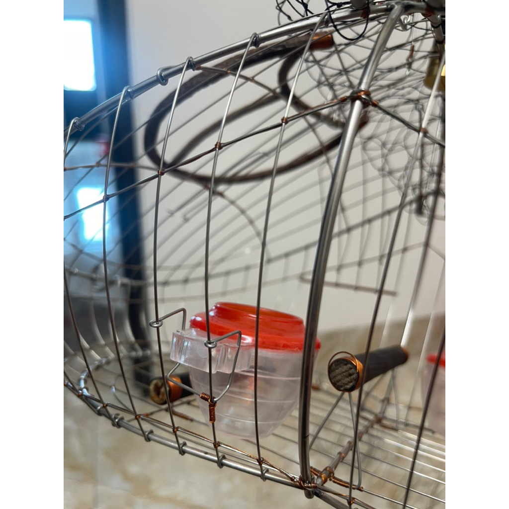Cài cóng lồng bẫy chào mào ( choè than)