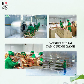Trà Ô Long Túi Lọc - Tân Cương Xanh Thái Nguyên - Trà sạch ngon chuẩn VietGap