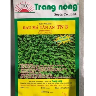 Hạt giống Rau Má