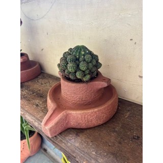  Chậu đất nung - chậu cối xay miệng 8cm cao 9cm 