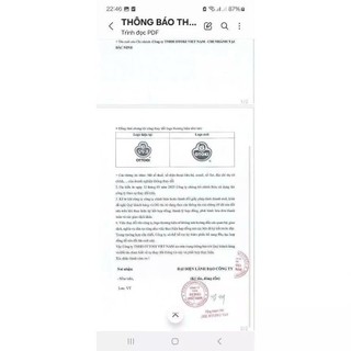 Bột Phô Mai  OTOKI (OTTOGI CŨ) 100g